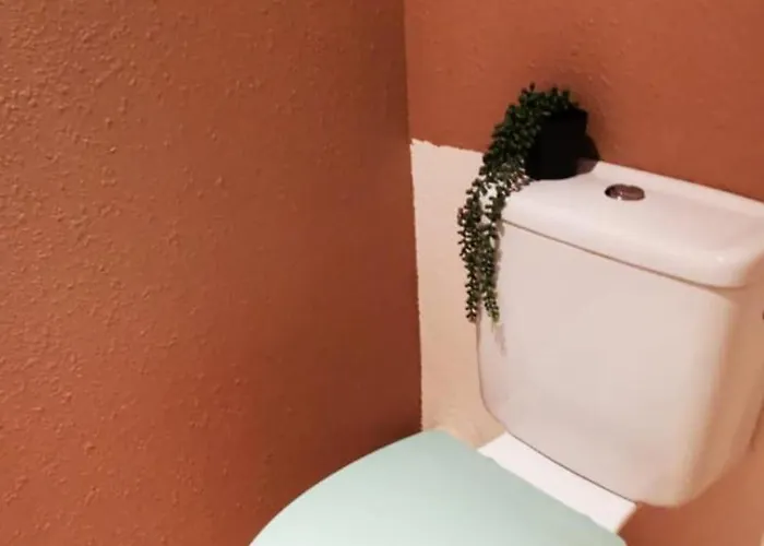 203, Esprit Zen Sur Le Port De Plaisance